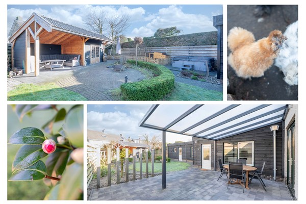 Medium property photo - Wilhelminastraat 12, 4744 BH Bosschenhoofd